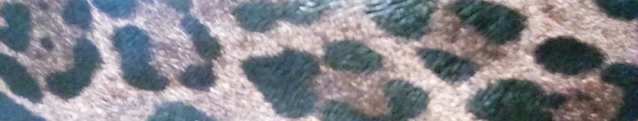 My Leopard Print Vibe